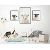 imageKate and Laurel Sylvie Sheep Bangs Portrait Animal Studio Black Nosed Sheep and Dorper Sheep Framed Canvas Wall Art Set by Amy Peterson 3 Piece Set Gray Farm Animal Portrait Art for Wall