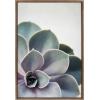 imageKate and Laurel Sylvie Succulent 5 Framed Canvas by F2 Images 18x24 GrayGold