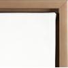 imageKate and Laurel Sylvie Succulent 5 Framed Canvas by F2 Images 18x24 GrayGold