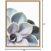 imageKate and Laurel Sylvie Succulent 5 Framed Canvas by F2 Images 18x24 GrayGold