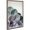 imageKate and Laurel Sylvie Succulent 5 Framed Canvas by F2 Images 18x24 GrayGold
