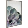 imageKate and Laurel Sylvie Succulent 5 Framed Canvas by F2 Images 18x24 GrayGrey
