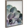 imageKate and Laurel Sylvie Succulent 5 Framed Canvas by F2 Images 18x24 GrayGrey