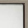 imageKate and Laurel Sylvie Succulent 5 Framed Canvas by F2 Images 18x24 GrayGrey