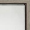 imageKate and Laurel Sylvie Succulent 5 Framed Canvas by F2 Images 18x24 GrayGrey