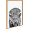 imageKate and Laurel Sylvie Sylvie Bison Portrait Black and White Stag Profile and Moose Framed Canvas Wall Art Set by Amy Peterson Art Studio 3 Piece Set Natural Black and White Animal Art for Wall