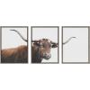imageKate and Laurel Sylvie Texas Longhorn Cow Lick 1 2 3 Framed Canvas Wall Art Set by The Creative Bunch Studio 3 Piece Set 18x24 Gray Rustic Animal Wall Art Set