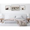 imageKate and Laurel Sylvie Texas Longhorn Highland Cow Portrait Close Crop and Herd of Highland Cows Framed Canvas Wall Art Set by The Creative Bunch Studio 3 Piece Set Gray Farm Animal Art for Wall