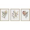 imageKate and Laurel Sylvie Wild Banksia Wild Salvia and Wild King Protea Framed Canvas Wall Art Set by Sara Berrenson 3 Piece 18x24 Natural Wildflower Art Set of 3 Wall DcorNatural