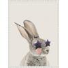 imageKate and Laurel The Bunny in Star Shaped Glasses Framed Canvas Wall Art by July Art Prints 18 x 24 Sylvie Beaded White Whimsical Animals Humor Art for Wall Decor Living Room