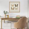 imageKate and Laurel Vintage Style Butterflies in Neutral Tones Framed Canvas Wall Art by The Creative Bunch Studio 22 x 22 Sylvie Natural Traditional Animals Nature Art for Wall Decor Living Room