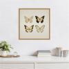 imageKate and Laurel Vintage Style Butterflies in Neutral Tones Framed Canvas Wall Art by The Creative Bunch Studio 22 x 22 Sylvie Natural Traditional Animals Nature Art for Wall Decor Living Room