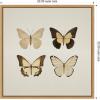 imageKate and Laurel Vintage Style Butterflies in Neutral Tones Framed Canvas Wall Art by The Creative Bunch Studio 22 x 22 Sylvie Natural Traditional Animals Nature Art for Wall Decor Living Room