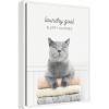 imageKate and Laurel Cat Laundry Goals Framed Canvas Wall Art by Amy Peterson 18 x 24 Sylvie White Whimsical Animals Humor Art for Wall Decor Living Room Bedroom