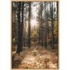 imageKate and Laurel Sylvie A Walk in the Woods Framed Canvas Wall Art by Patricia Hasz of Patricia Rae Photography 23x33 Natural Chic Modern Nature Art for Wall