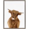 imageKate and Laurel Sylvie Animal Studio Highland Framed Canvas Wall Art by Amy Peterson Art Studio 18x24 Natural Whimsical Fun Animal Farmhouse Art for WallGrey