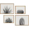 imageKate and Laurel Sylvie Haze Aloe Succulent Cactus Tall Cactus Short and Agave Succulent Framed Canvas Wall Art Set by The Creative Bunch Studio 4 Piece Set Natural Desert Succulent Art
