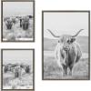 imageKate and Laurel Sylvie Herd of Highland Cows BW Left and Right and Highland Cow Mountain Landscape Framed Canvas Wall Art Set by The Creative Bunch Studio 3 Piece Set Gray Farm Animal Art