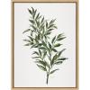 imageKate and Laurel Sylvie Ruscus Framed Canvas Wall Art by Patricia Shaw 18x24 Natural Nature Art for Wall