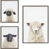 imageKate and Laurel Sylvie Sheep Bangs Portrait Animal Studio Black Nosed Sheep and Dorper Sheep Framed Canvas Wall Art Set by Amy Peterson 3 Piece Set Gray Farm Animal Portrait Art for Wall