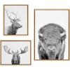 imageKate and Laurel Sylvie Sylvie Bison Portrait Black and White Stag Profile and Moose Framed Canvas Wall Art Set by Amy Peterson Art Studio 3 Piece Set Natural Black and White Animal Art for Wall