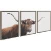 imageKate and Laurel Sylvie Texas Longhorn Cow Lick 1 2 3 Framed Canvas Wall Art Set by The Creative Bunch Studio 3 Piece Set 18x24 Gray Rustic Animal Wall Art Set