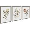 imageKate and Laurel Sylvie Wild Banksia Wild Salvia and Wild King Protea Framed Canvas Wall Art Set by Sara Berrenson 3 Piece 18x24 Natural Wildflower Art Set of 3 Wall DcorGray