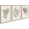 imageKate and Laurel Sylvie Wild Banksia Wild Salvia and Wild King Protea Framed Canvas Wall Art Set by Sara Berrenson 3 Piece 18x24 Natural Wildflower Art Set of 3 Wall DcorNatural