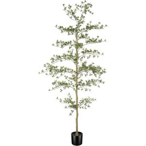 imageBlack Olive Tree 7ft  Faux Black Olive Tree with Natural Trunk and Realistic Leaves  Artificial Shady Lady Tree for Modern Home Office House Living Room Decor
