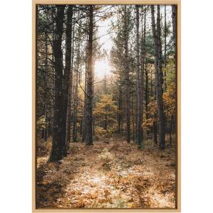 imageKate and Laurel Sylvie A Walk in the Woods Framed Canvas Wall Art by Patricia Hasz of Patricia Rae Photography 23x33 Natural Chic Modern Nature Art for Wall