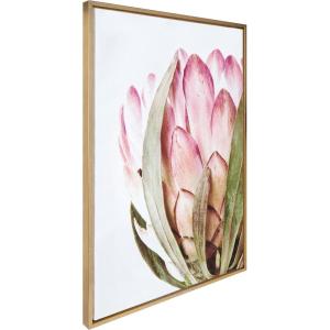 imageKate and Laurel Sylvie Pink Protea Flower Framed Canvas Wall Art by Amy Peterson Art Studio 28 x 38 Gold Beautiful Wild Flower Art for Wall