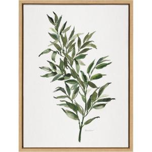 imageKate and Laurel Sylvie Ruscus Framed Canvas Wall Art by Patricia Shaw 18x24 Natural Nature Art for Wall