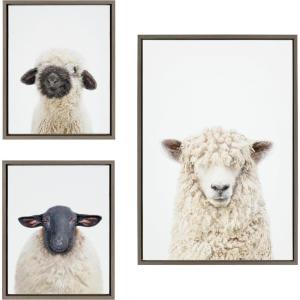 imageKate and Laurel Sylvie Sheep Bangs Portrait Animal Studio Black Nosed Sheep and Dorper Sheep Framed Canvas Wall Art Set by Amy Peterson 3 Piece Set Gray Farm Animal Portrait Art for Wall