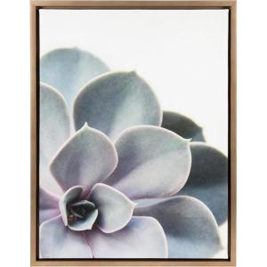 imageKate and Laurel Sylvie Succulent 5 Framed Canvas by F2 Images 18x24 GrayGold