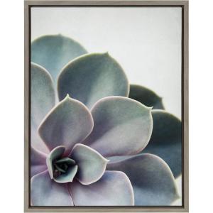 imageKate and Laurel Sylvie Succulent 5 Framed Canvas by F2 Images 18x24 GrayGrey