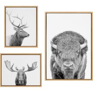 imageKate and Laurel Sylvie Sylvie Bison Portrait Black and White Stag Profile and Moose Framed Canvas Wall Art Set by Amy Peterson Art Studio 3 Piece Set Natural Black and White Animal Art for Wall