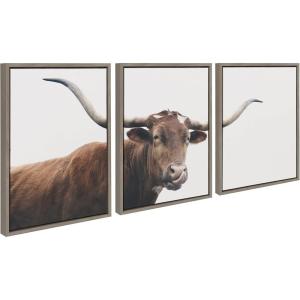 imageKate and Laurel Sylvie Texas Longhorn Cow Lick 1 2 3 Framed Canvas Wall Art Set by The Creative Bunch Studio 3 Piece Set 18x24 Gray Rustic Animal Wall Art Set