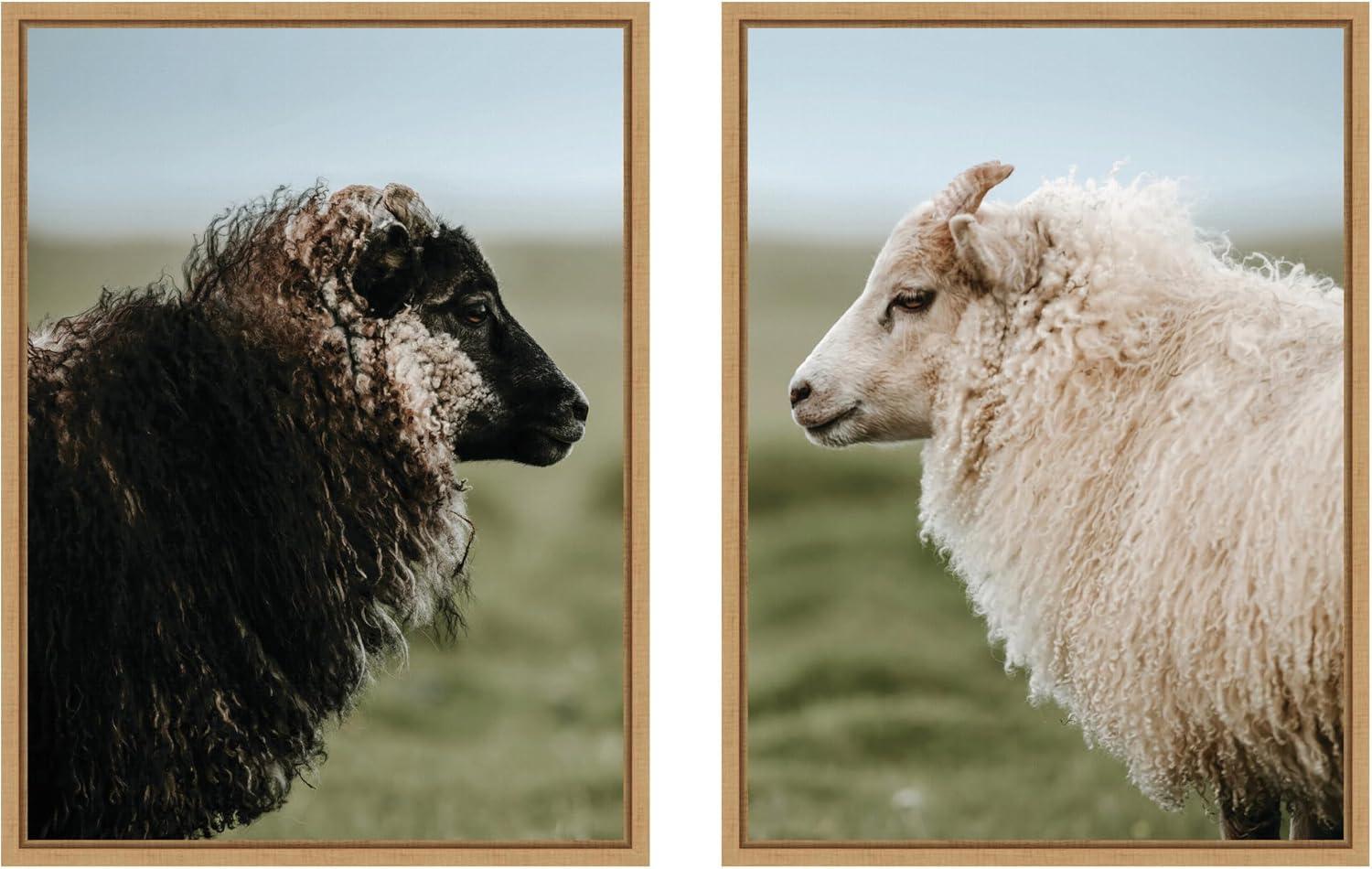 imageKate and Laurel Sheeply in Love Set of 2 18x24 Framed Canvas Wall Art Set by Michael Schauer Sylvie Natural Farmhouse Animals Landscapes Nature Art for Wall Decor Living Room Bedroom