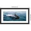 imageKate and Laurel Framed Wall Art Print Dolphin Skipping along in the Ocean Panel by Michael Schauer 43 x 24 Oliver White Narrow Frame Coastal Animals Beach Landscapes Art for Wall Decor43L x 24W