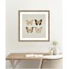 imageKate and Laurel Framed Wall Art Print Vintage Style Butterflies in Neutral Tones by The Creative Bunch Studio 34 x 34 Woodgrain Stripe Mocha Frame Vintage Animals Nature Art for Wall Decor26L x 26W