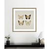 imageKate and Laurel Framed Wall Art Print Vintage Style Butterflies in Neutral Tones by The Creative Bunch Studio 34 x 34 Woodgrain Stripe Mocha Frame Vintage Animals Nature Art for Wall Decor34L x 34W