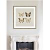 imageKate and Laurel Framed Wall Art Print Vintage Style Butterflies in Neutral Tones by The Creative Bunch Studio 34 x 34 Woodgrain Stripe Mocha Frame Vintage Animals Nature Art for Wall Decor34L x 34W