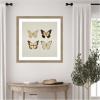 imageKate and Laurel Framed Wall Art Print Vintage Style Butterflies in Neutral Tones by The Creative Bunch Studio 34 x 34 Woodgrain Stripe Mocha Frame Vintage Animals Nature Art for Wall Decor26L x 26W