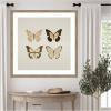 imageKate and Laurel Framed Wall Art Print Vintage Style Butterflies in Neutral Tones by The Creative Bunch Studio 34 x 34 Woodgrain Stripe Mocha Frame Vintage Animals Nature Art for Wall Decor34L x 34W