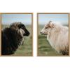 imageKate and Laurel Sheeply in Love Set of 2 18x24 Framed Canvas Wall Art Set by Michael Schauer Sylvie Natural Farmhouse Animals Landscapes Nature Art for Wall Decor Living Room Bedroom