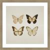 imageKate and Laurel Framed Wall Art Print Vintage Style Butterflies in Neutral Tones by The Creative Bunch Studio 34 x 34 Woodgrain Stripe Mocha Frame Vintage Animals Nature Art for Wall Decor26L x 26W