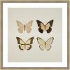 imageKate and Laurel Framed Wall Art Print Vintage Style Butterflies in Neutral Tones by The Creative Bunch Studio 34 x 34 Woodgrain Stripe Mocha Frame Vintage Animals Nature Art for Wall Decor34L x 34W