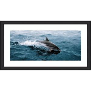 imageKate and Laurel Framed Wall Art Print Dolphin Skipping along in the Ocean Panel by Michael Schauer 43 x 24 Oliver White Narrow Frame Coastal Animals Beach Landscapes Art for Wall Decor43L x 24W
