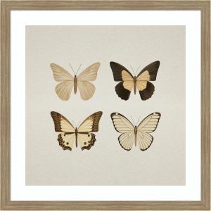imageKate and Laurel Framed Wall Art Print Vintage Style Butterflies in Neutral Tones by The Creative Bunch Studio 34 x 34 Woodgrain Stripe Mocha Frame Vintage Animals Nature Art for Wall Decor26L x 26W
