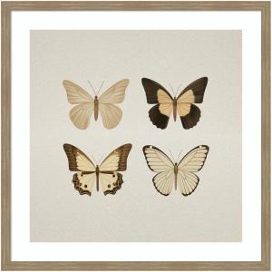 imageKate and Laurel Framed Wall Art Print Vintage Style Butterflies in Neutral Tones by The Creative Bunch Studio 34 x 34 Woodgrain Stripe Mocha Frame Vintage Animals Nature Art for Wall Decor34L x 34W